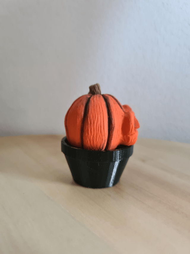 Pumpkin