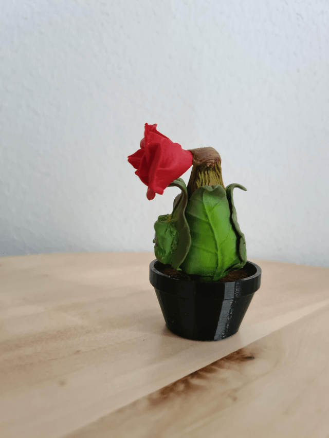Bosney Buds Rose