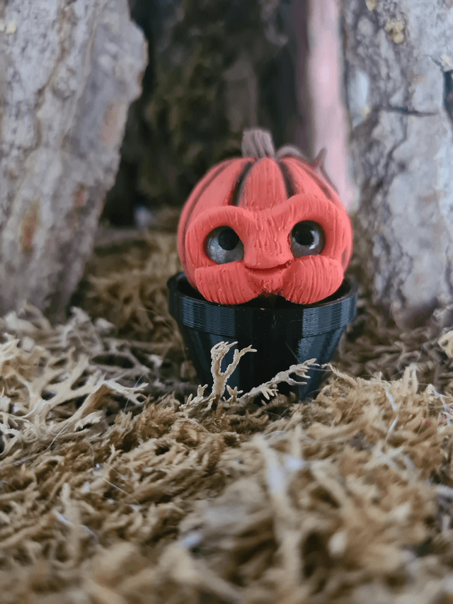 Pumpkin